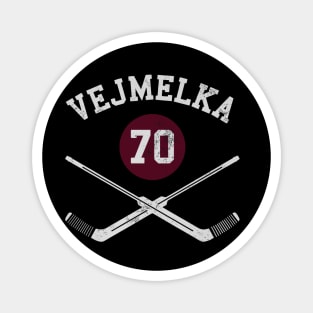 Karel Vejmelka Arizona Goalie Sticks Magnet